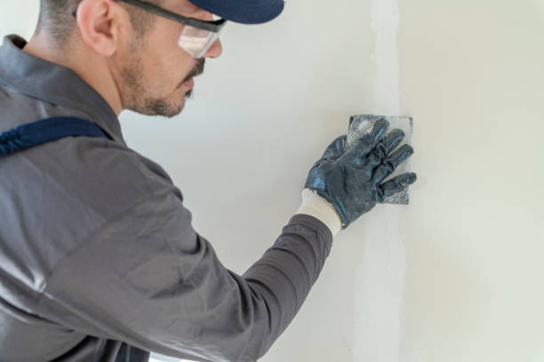 Best Mold Documentation for Insurance Claims  in Bentleyville, PA