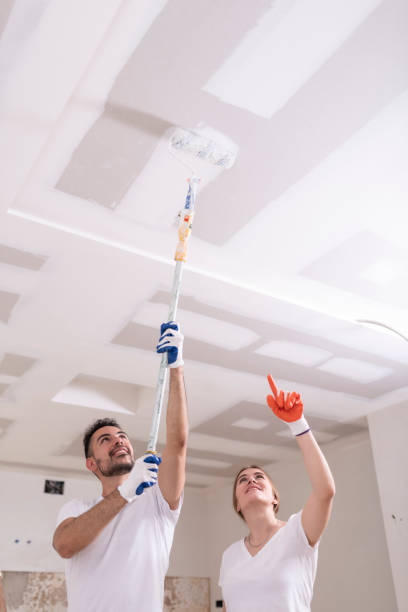 Best Asbestos and Lead Testing During Mold Inspection  in Bentleyville, PA
